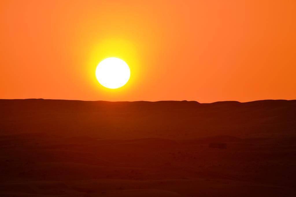 Arabian Oryx Camp Shāhiq