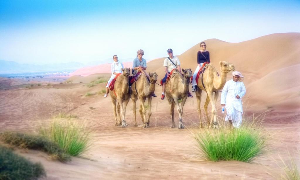 Arabian Oryx Camp 3* Shahiq