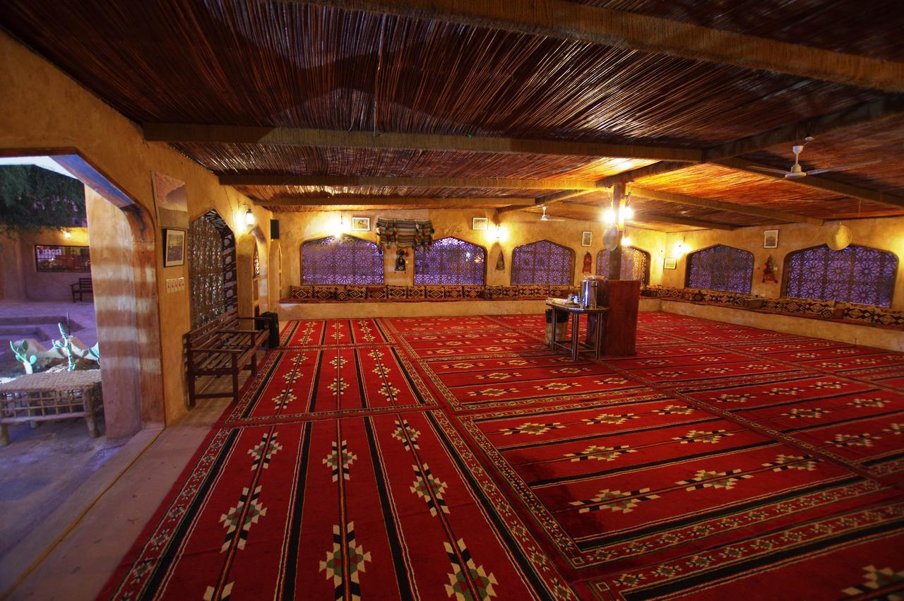 Arabian Oryx Camp