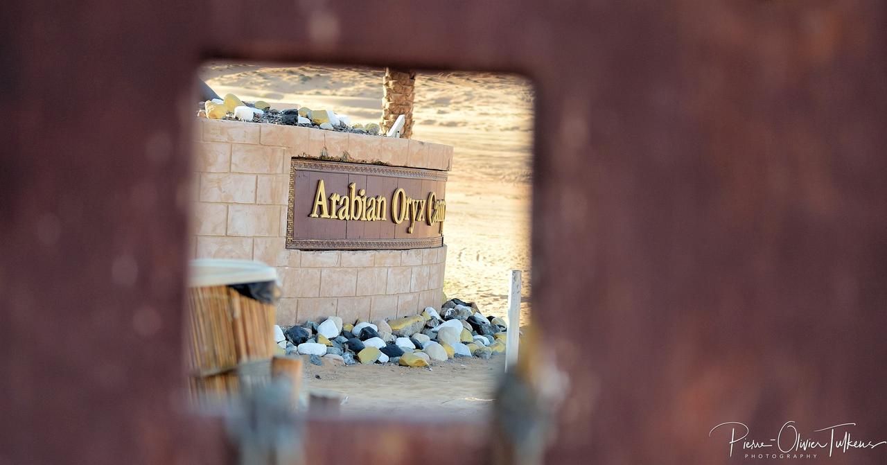 Arabian Oryx Camp Tente de luxe